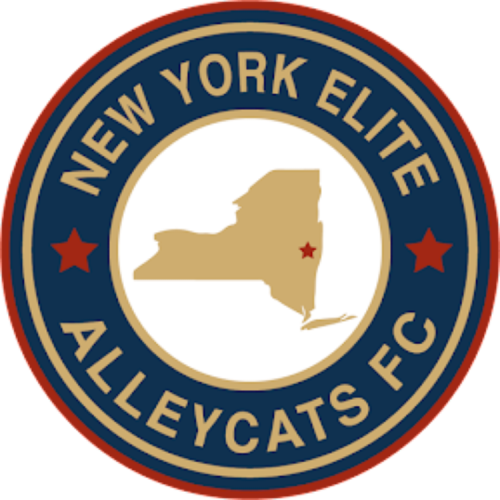 New York Elite Alleycats FC logo